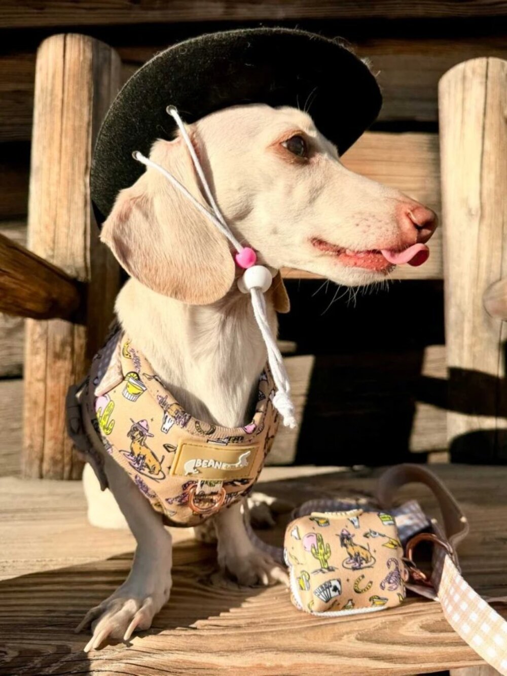 Bean Goods adjustable Harness + Walk Set - Picture 4 of 5